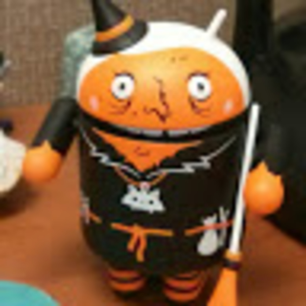 Meet your Posher, Ann marie